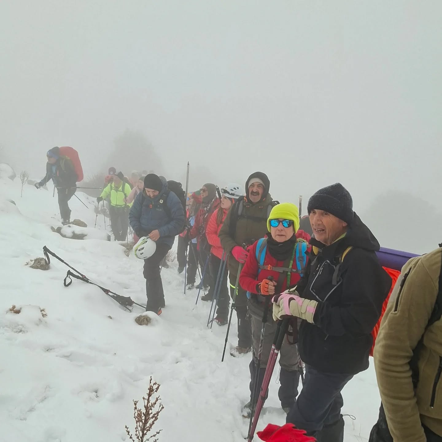 610636683 18336182434213190 6420721111556913431 N