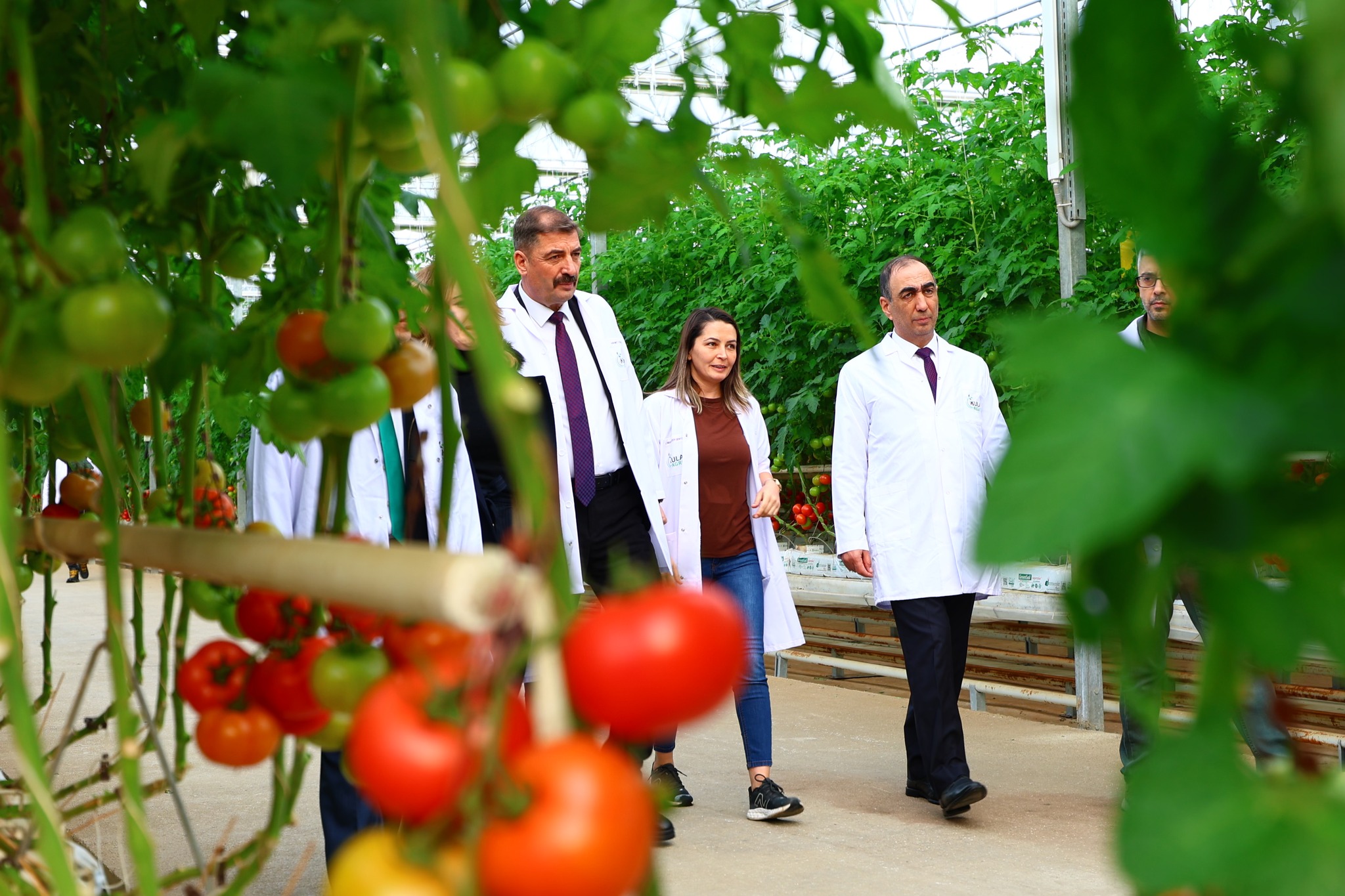 611178043 1211554881161909 5493832518693283220 N