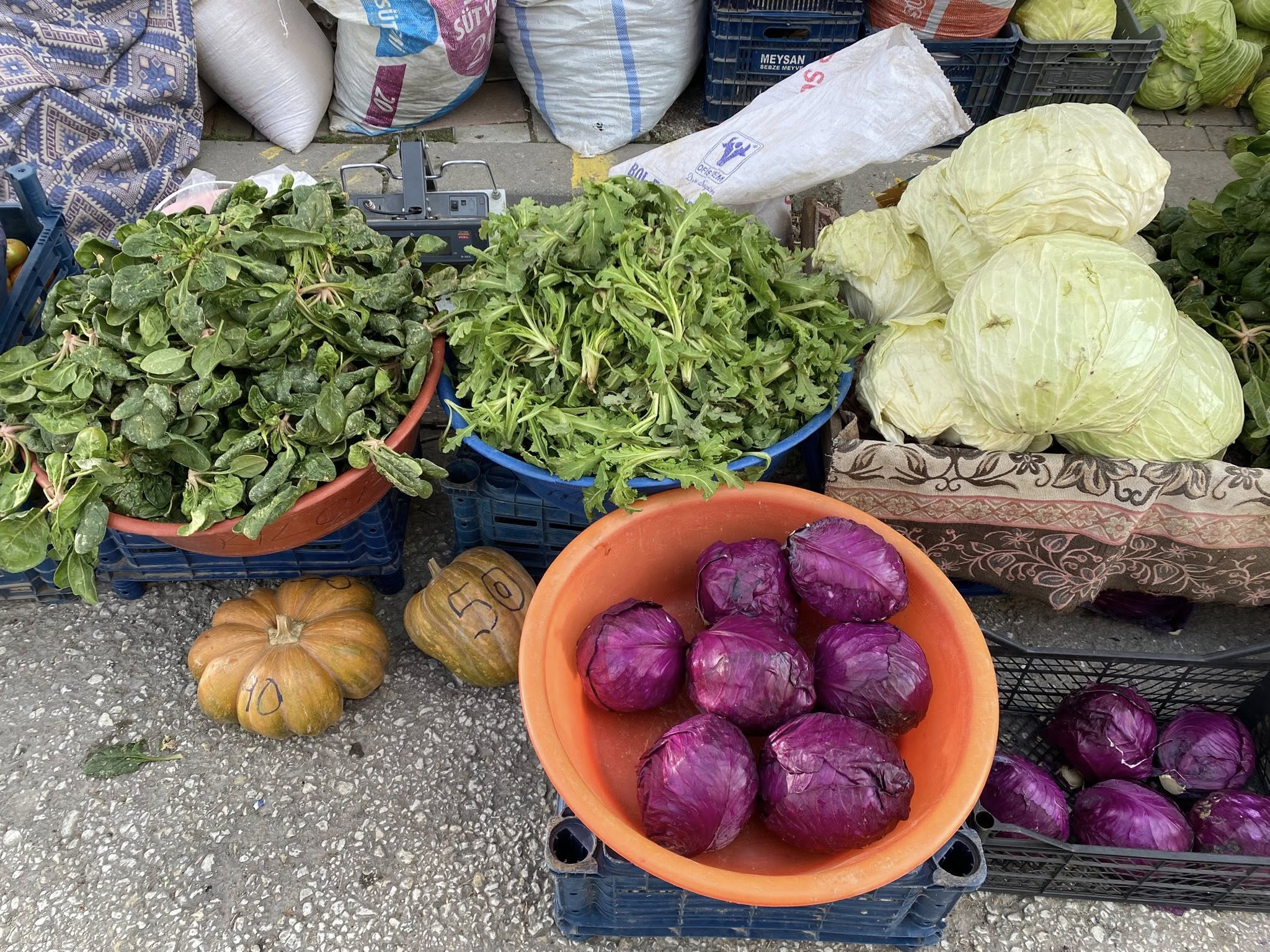 611375925 10163140581357860 1571112092032045051 N