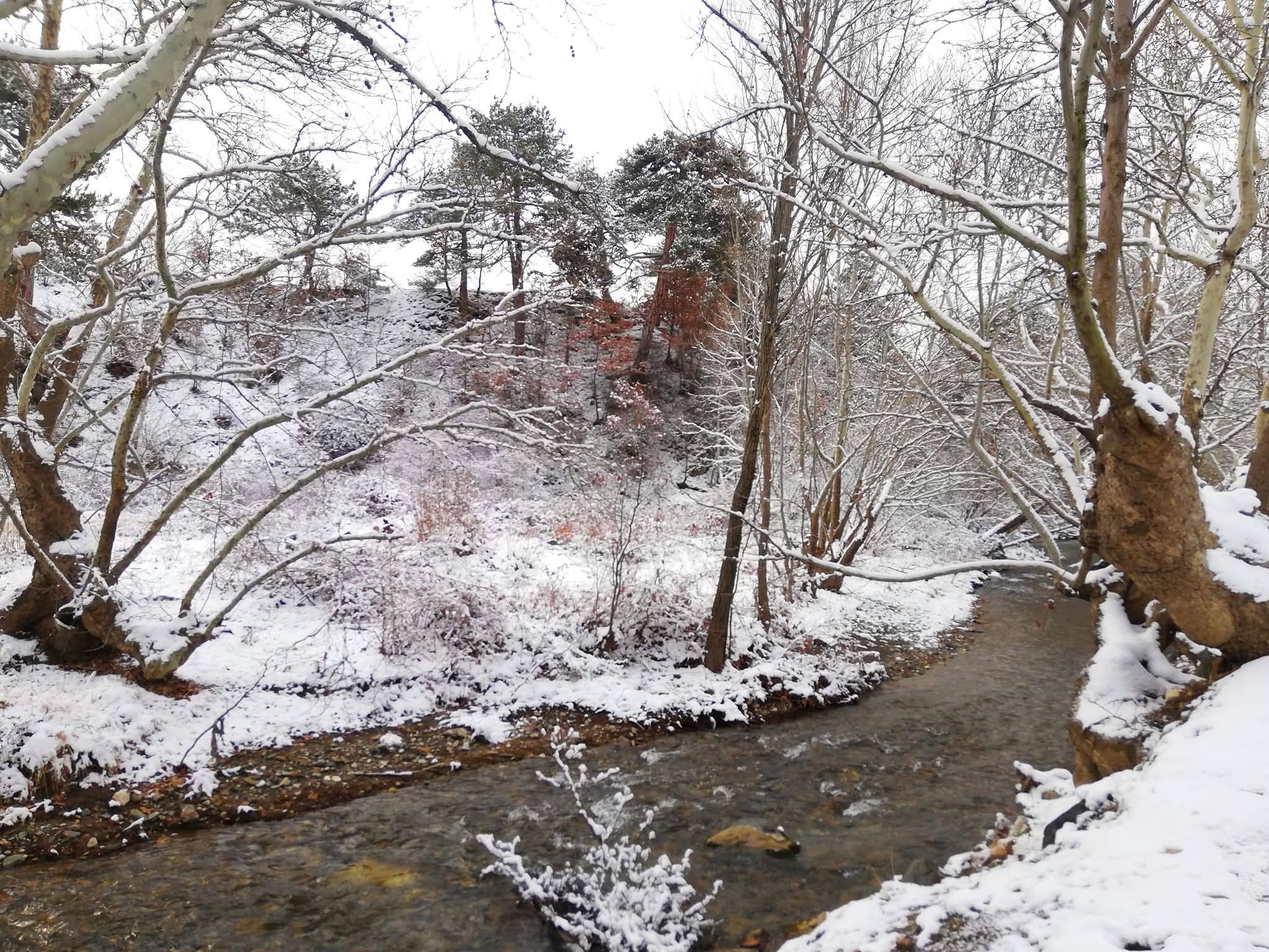 611630450 2949359608594091 3094178546365676572 N