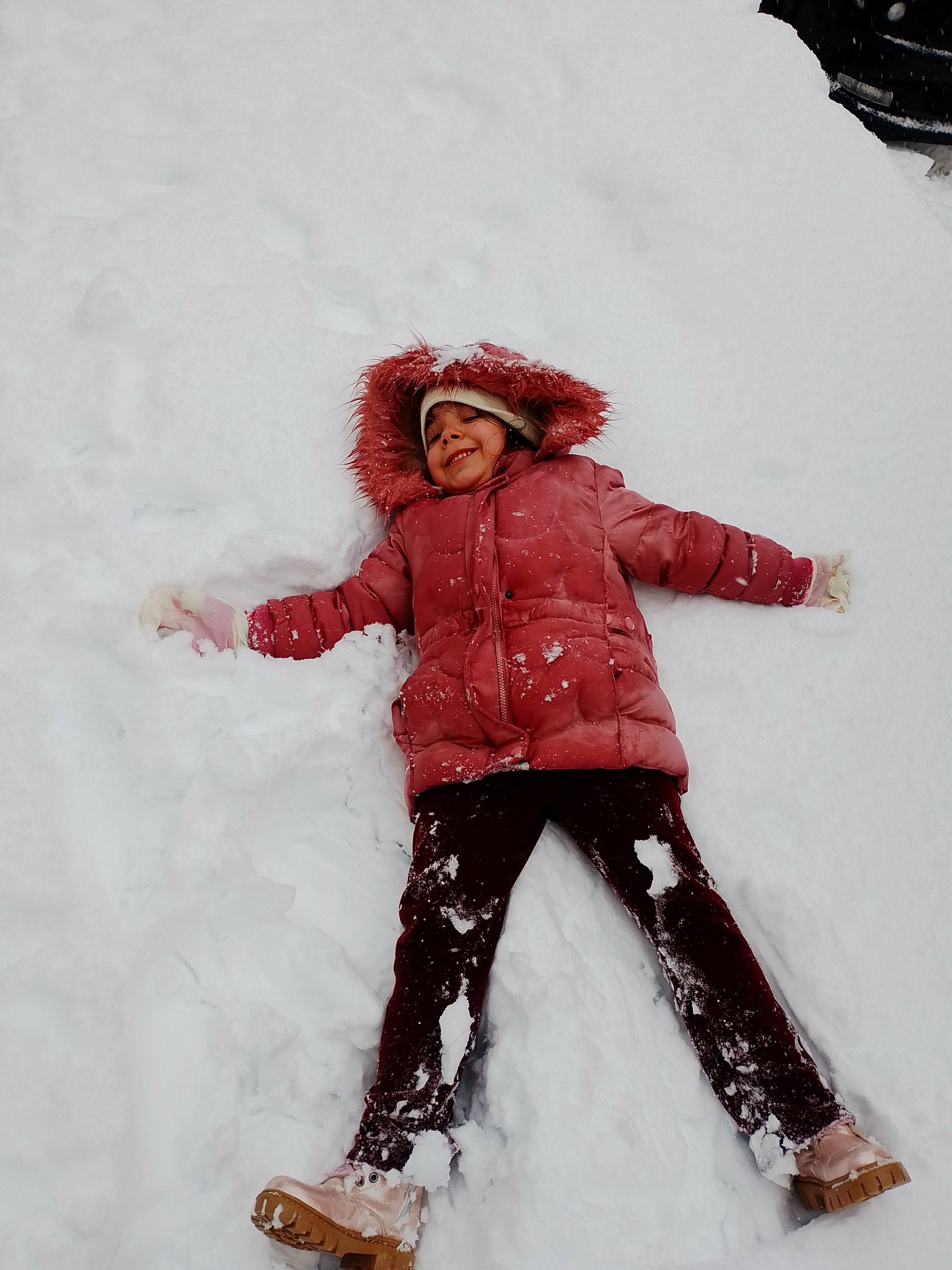 614487297 10240073843205901 8908351084317262386 N