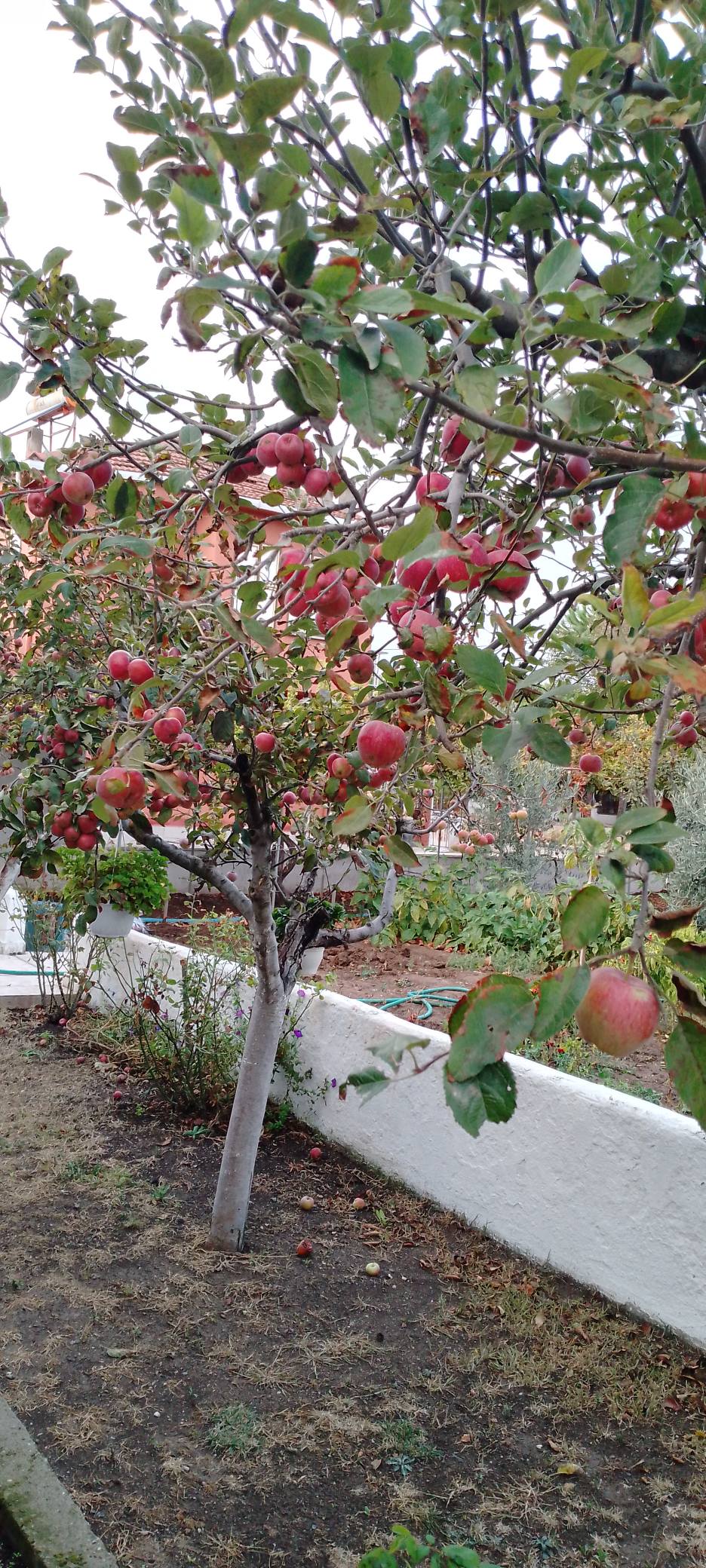 615367476 25932202856385585 4019387560459160391 N