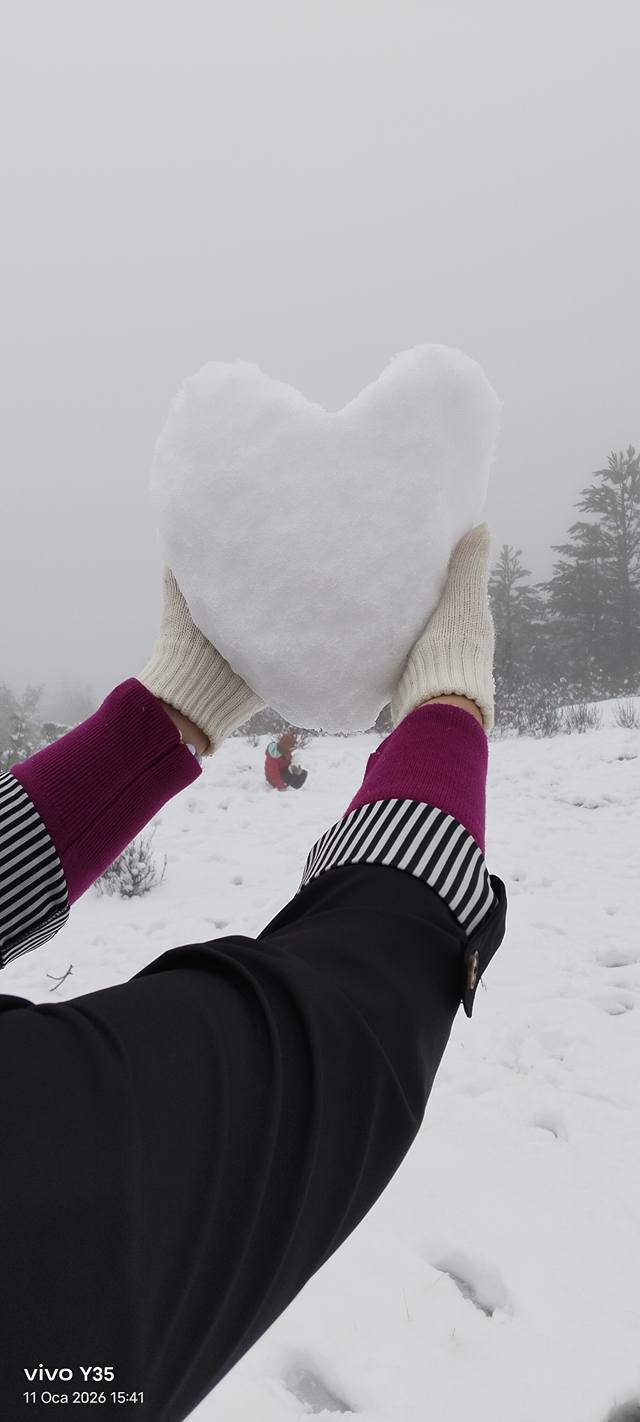 615407407 10230072118819219 2976543214779394151 N