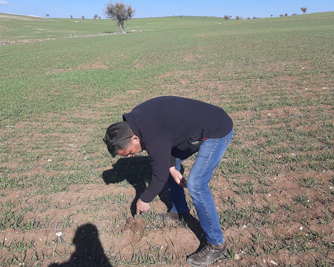 615537654 122192974934544242 8812467785043881296 N