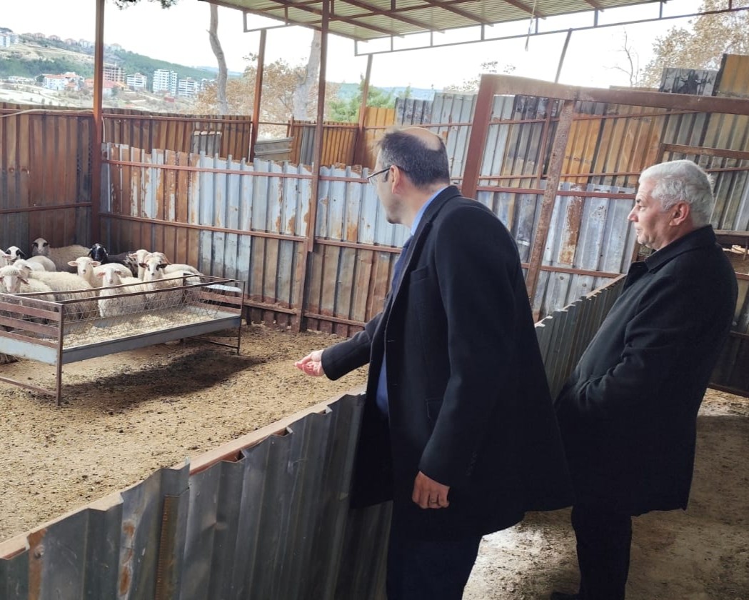 616330654 122192964548544242 2359929761798084925 N