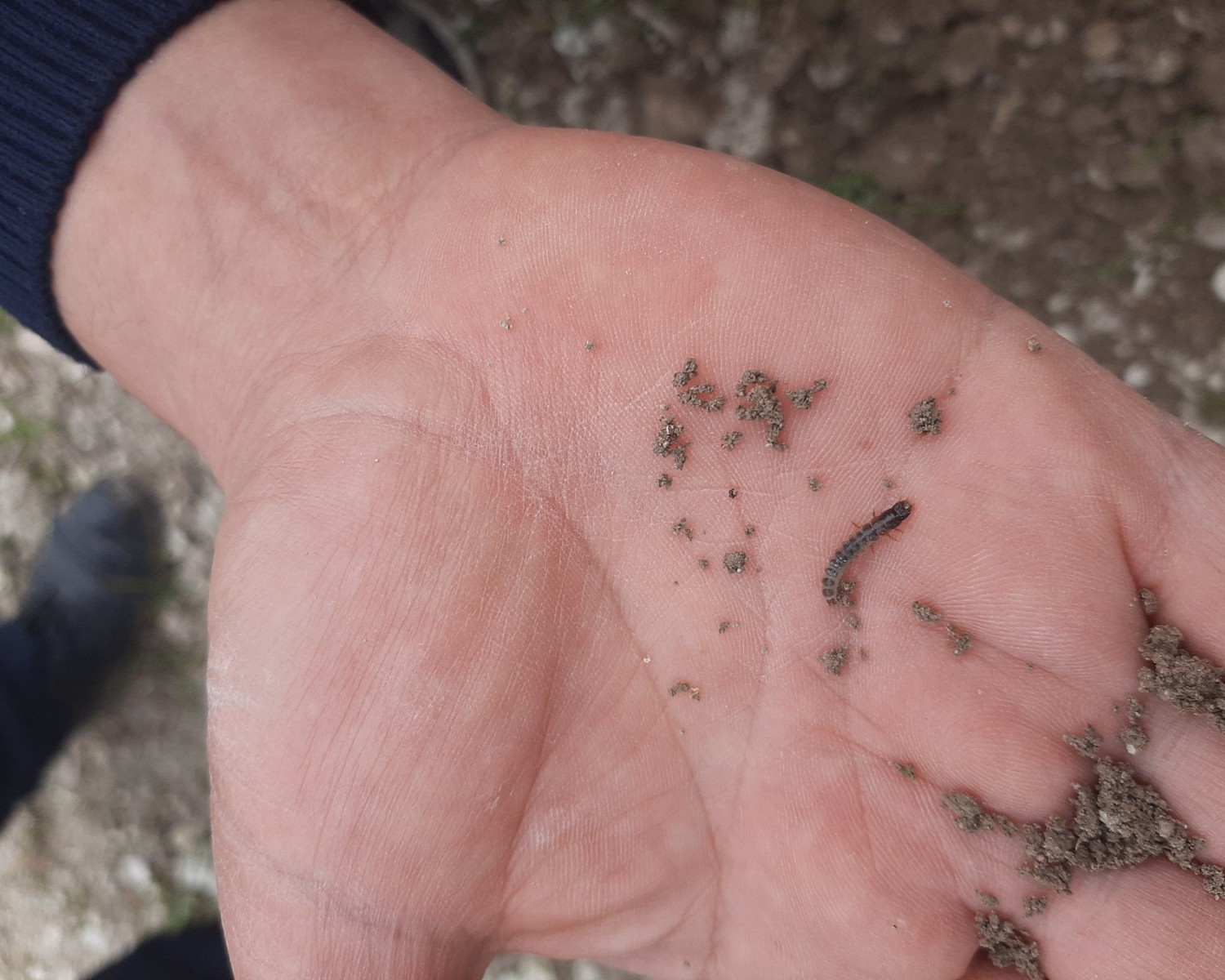 616344764 122192974904544242 6690378299556890657 N