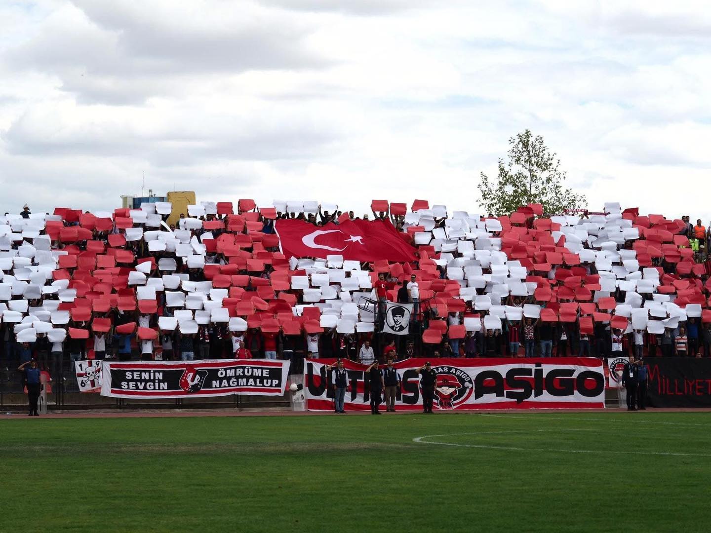 616812615 1411726424298431 1637762323822594074 N