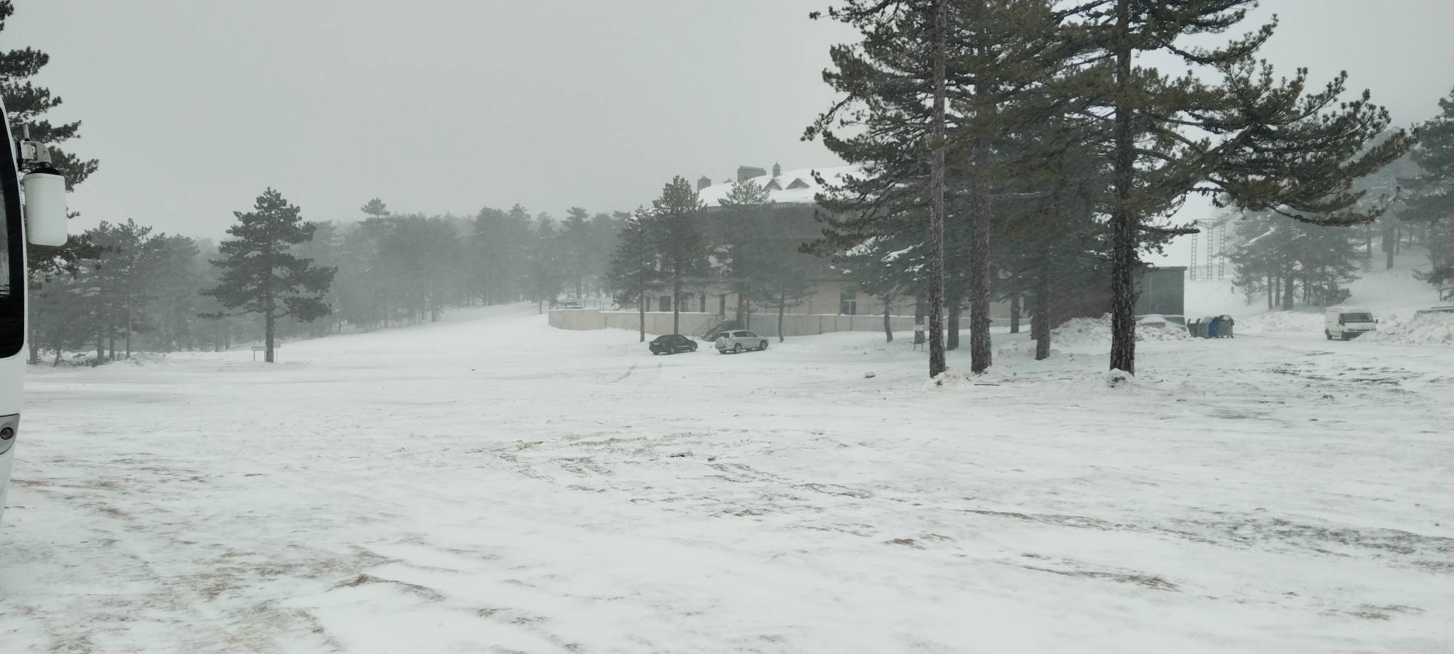 616938786 33601515752796720 352833313070079013 N