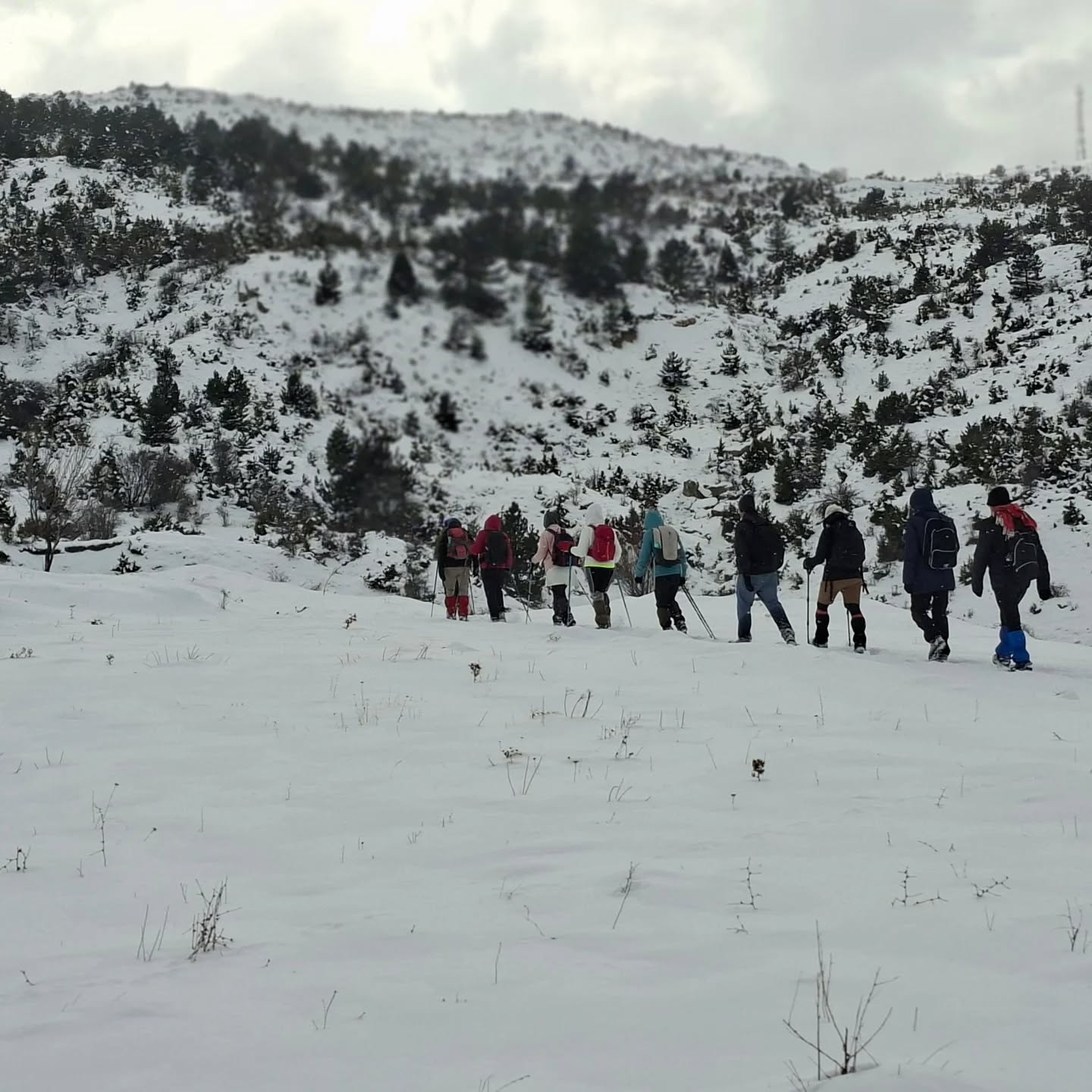 618895719 18337478407213190 343704683480643344 N