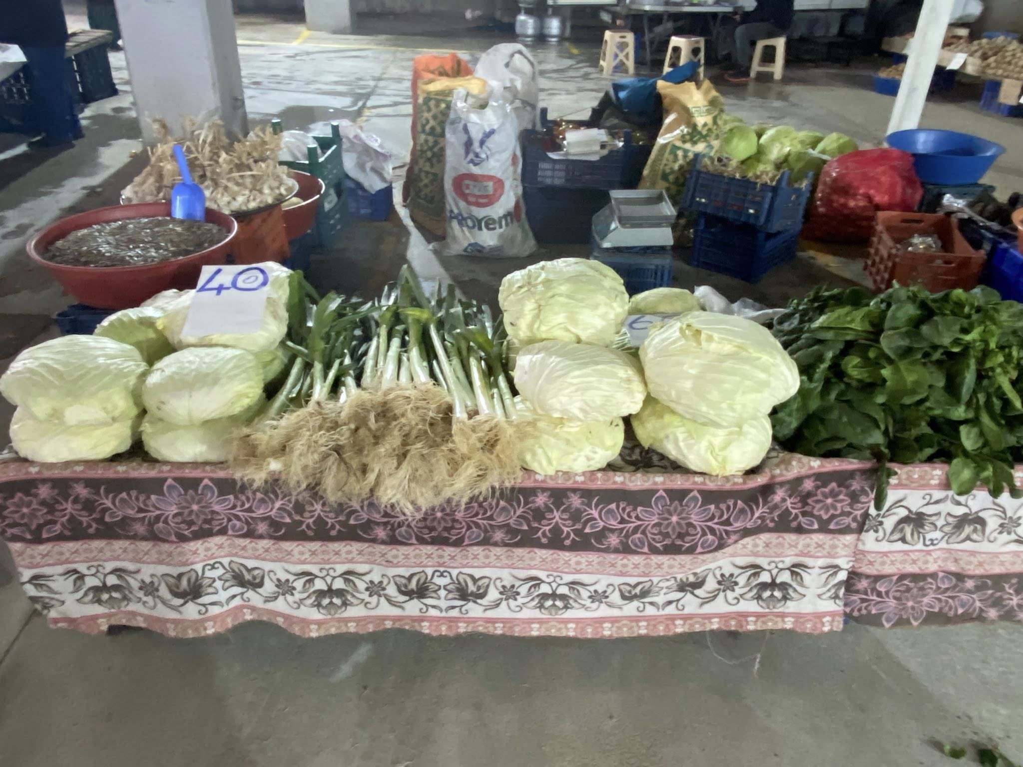 619261901 10163208506212860 4542183796485483439 N