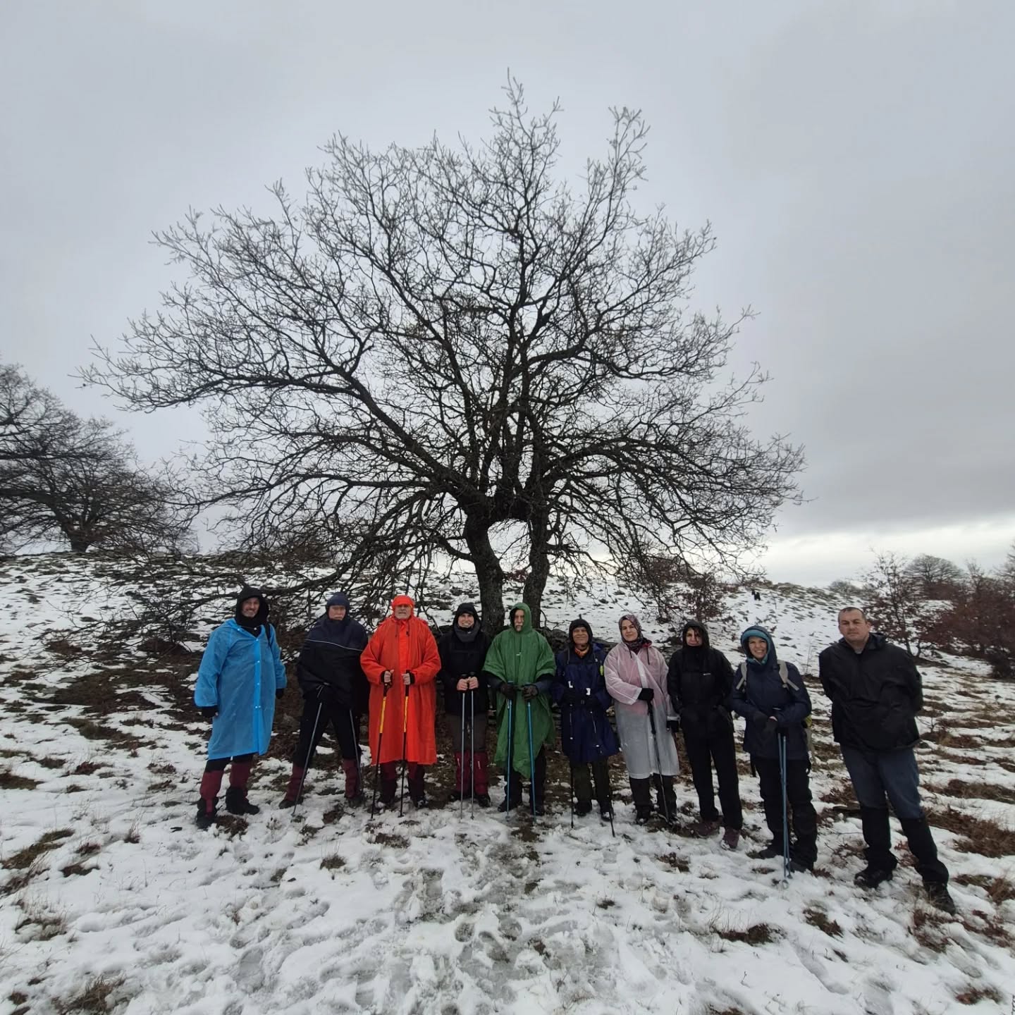 621792176 18338053780213190 6280499202039549483 N