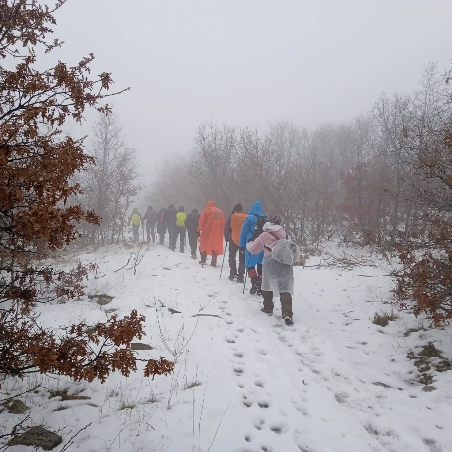 621792176 18338053798213190 8663045524235859265 N