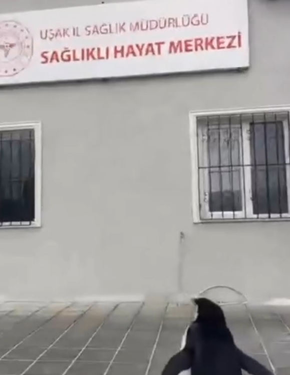 Penguen Sağlık2