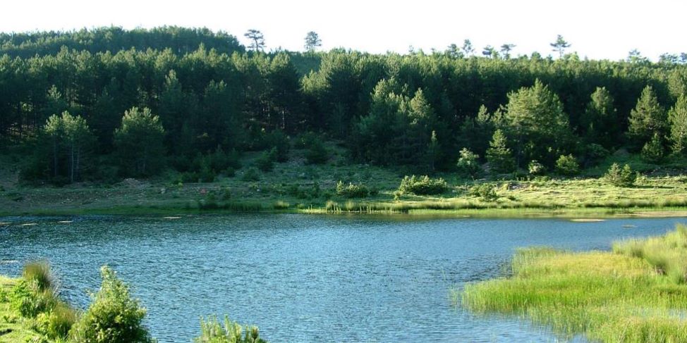 Türkiye Çevreyi Konuşuyor, Uşak’ta Hangi Alanlar Öne Çıkıyor1