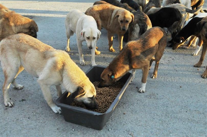 Whatsapp Image 2020 04 10 At 13.22.07