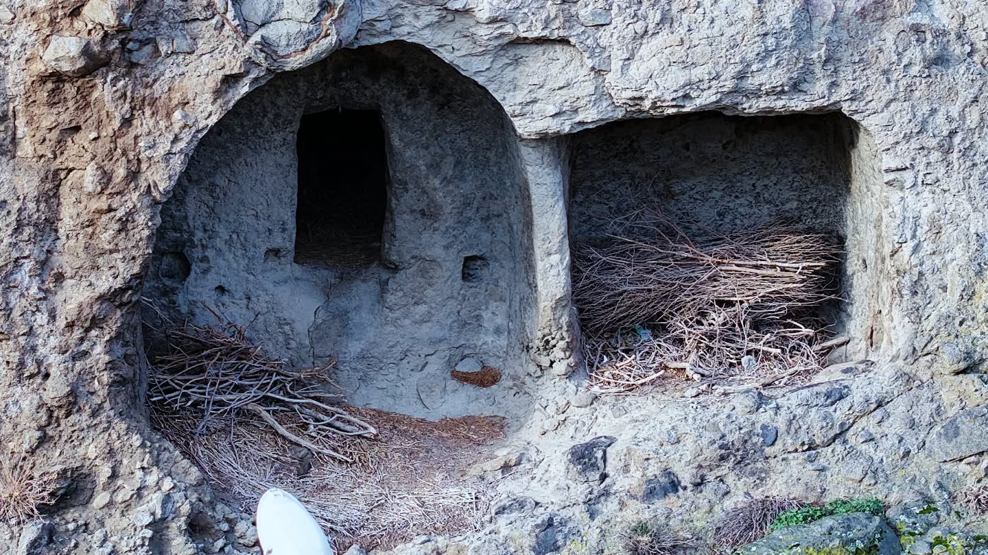 632795395 18554608381044056 1996012006931910430 N