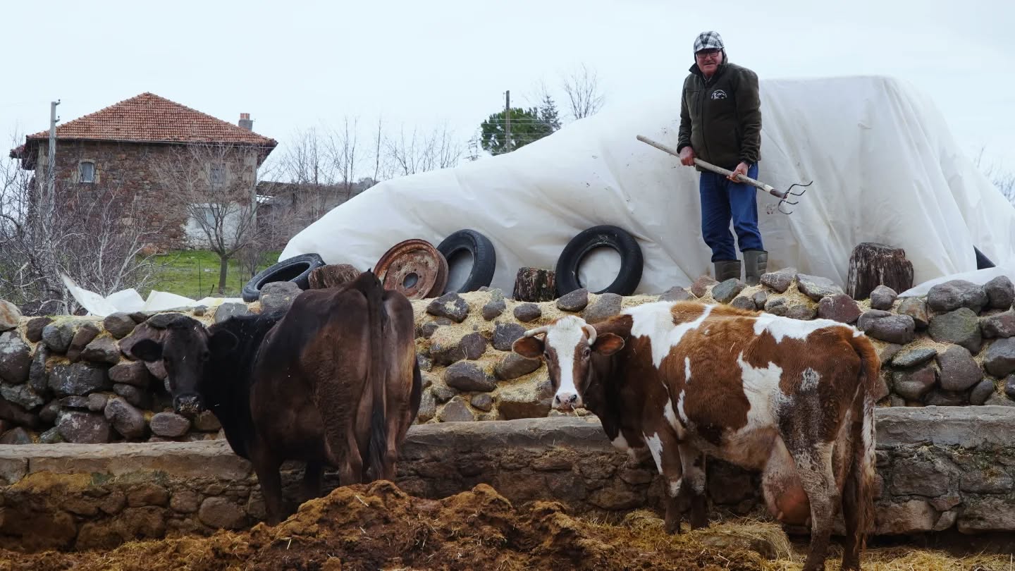 Aydınlı Köyü (3)
