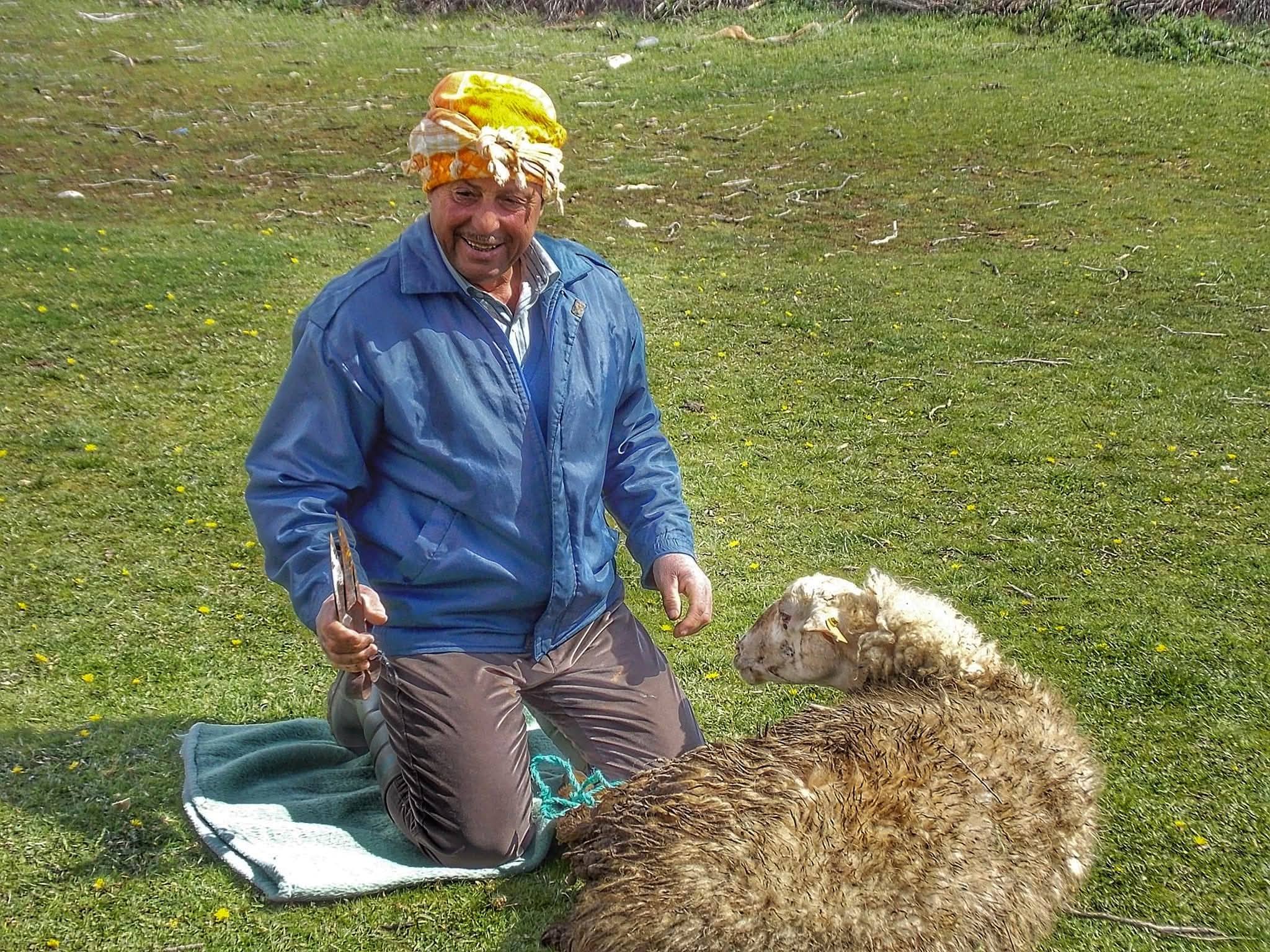 Uşak Halılarının Sırrı Yün 1 (3)