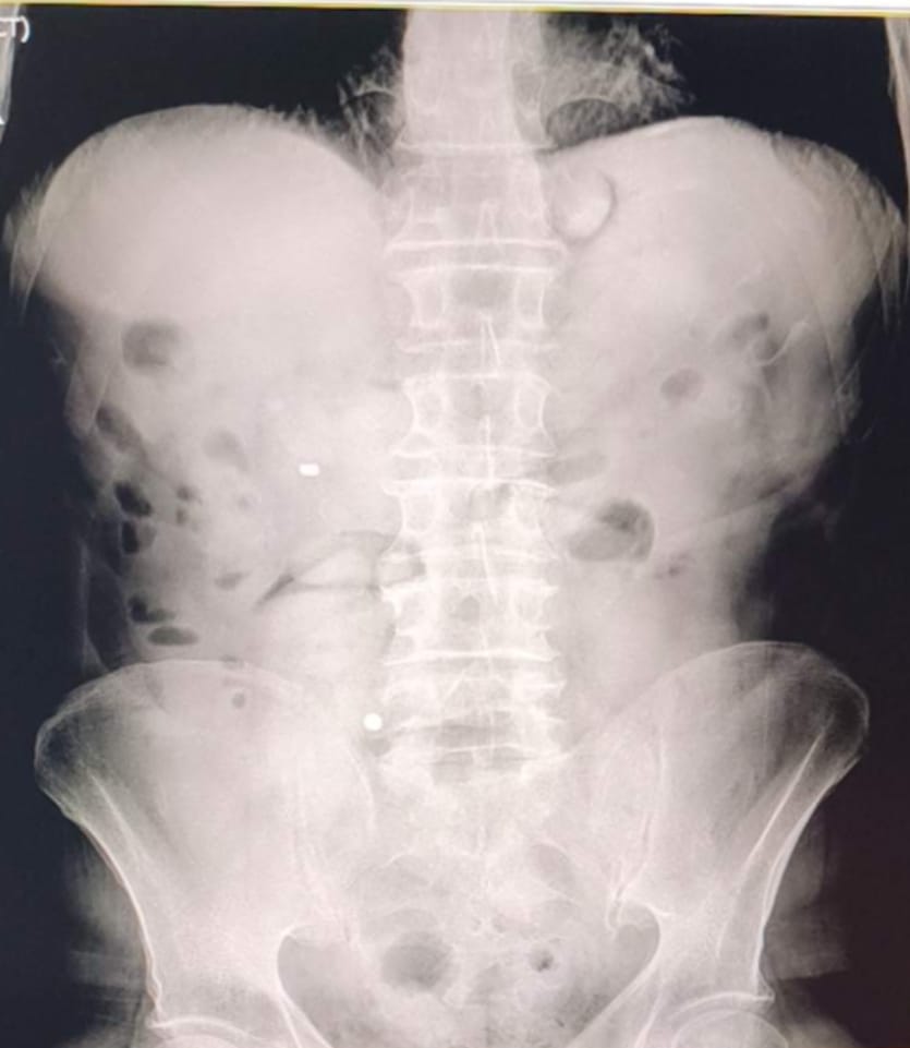 Whatsapp Image 2026 02 17 At 19.39.00 (2)