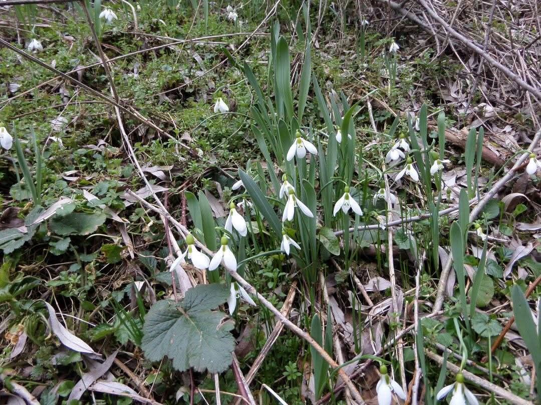 05Ad30Dd 18A1 4114 9661 2691268A96Aa