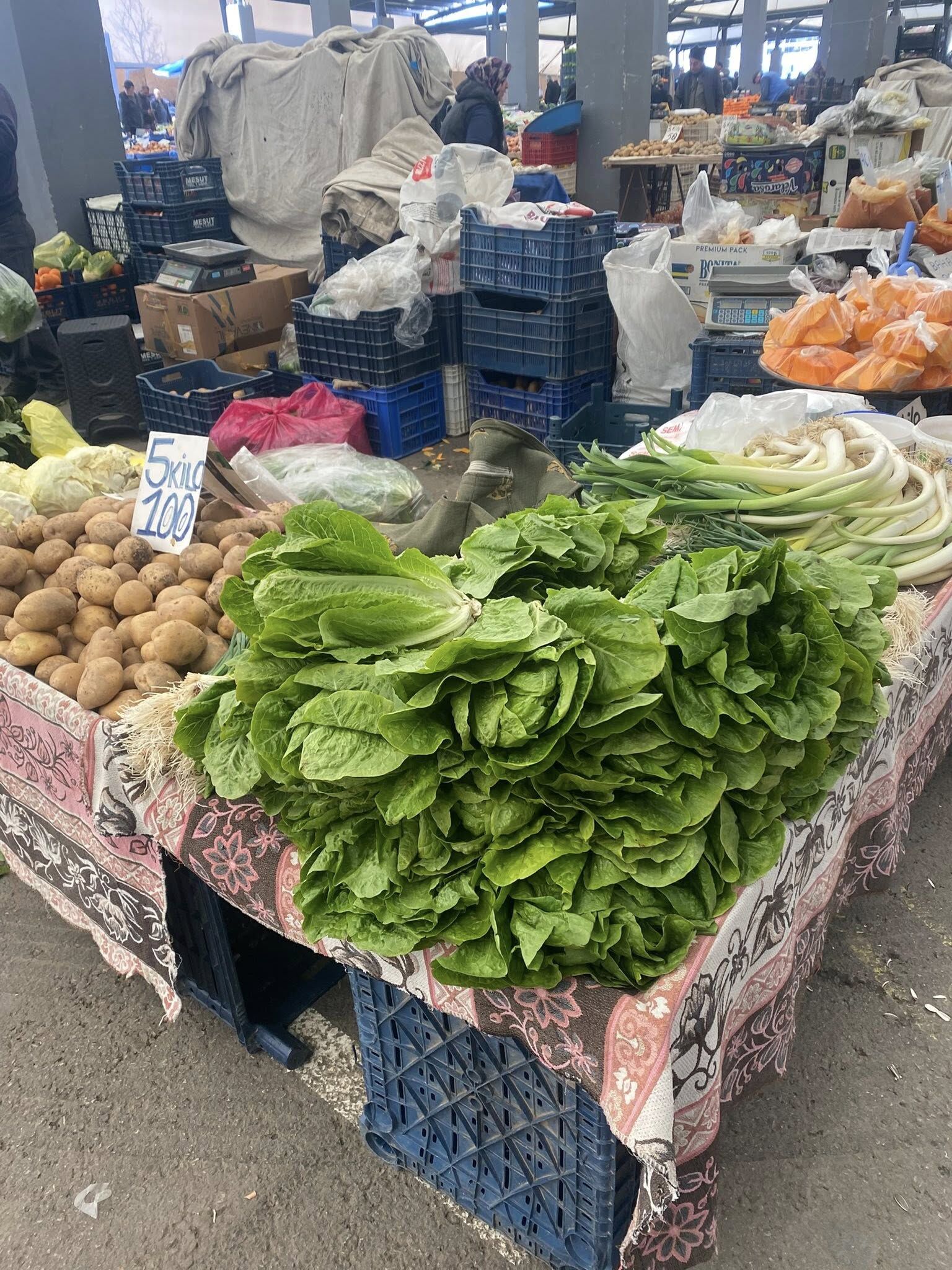 651002761 10163432968157860 4086828679835173366 N