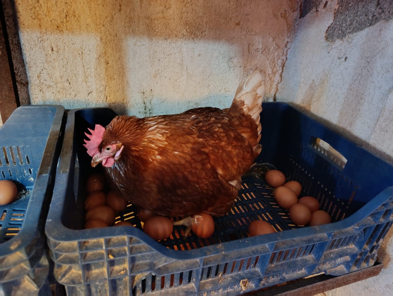 6734402A B49B 44Dd A9C6 E7D501Facf74