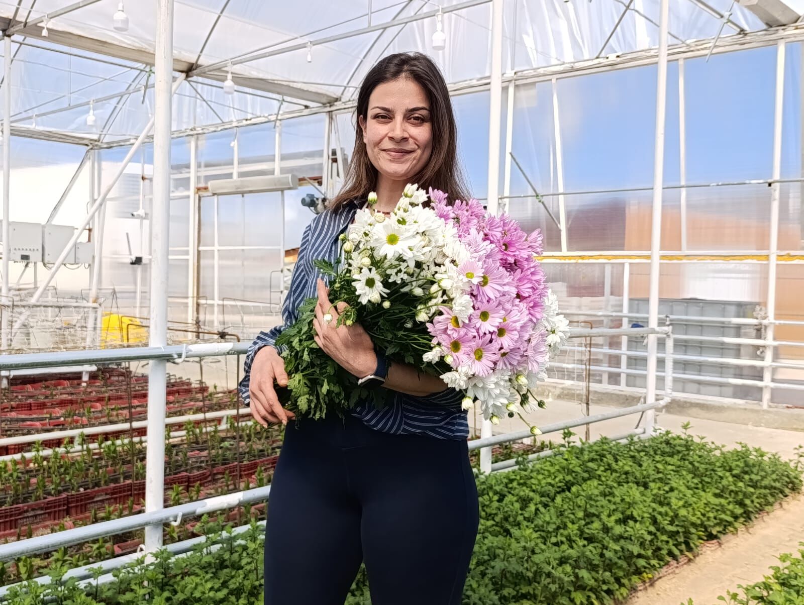 72B3B0A0 A2De 4D52 9628 0Be82Df35C81