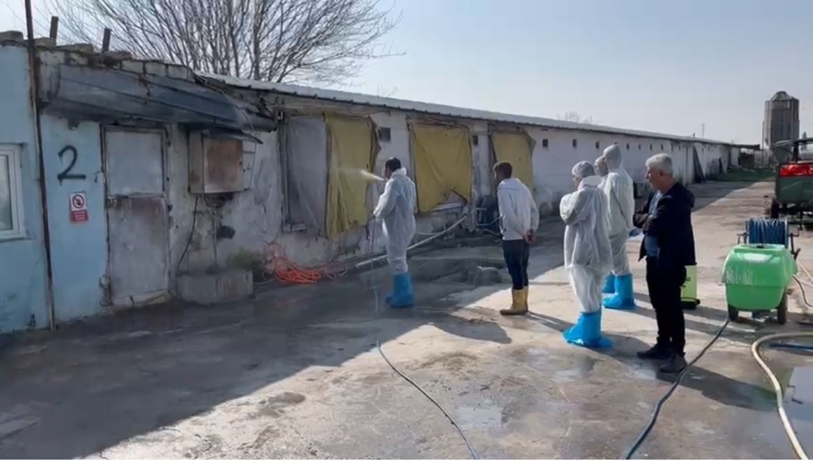 Afa45986 8Ab8 4F0C 8F32 4Dcd8Cbaf216