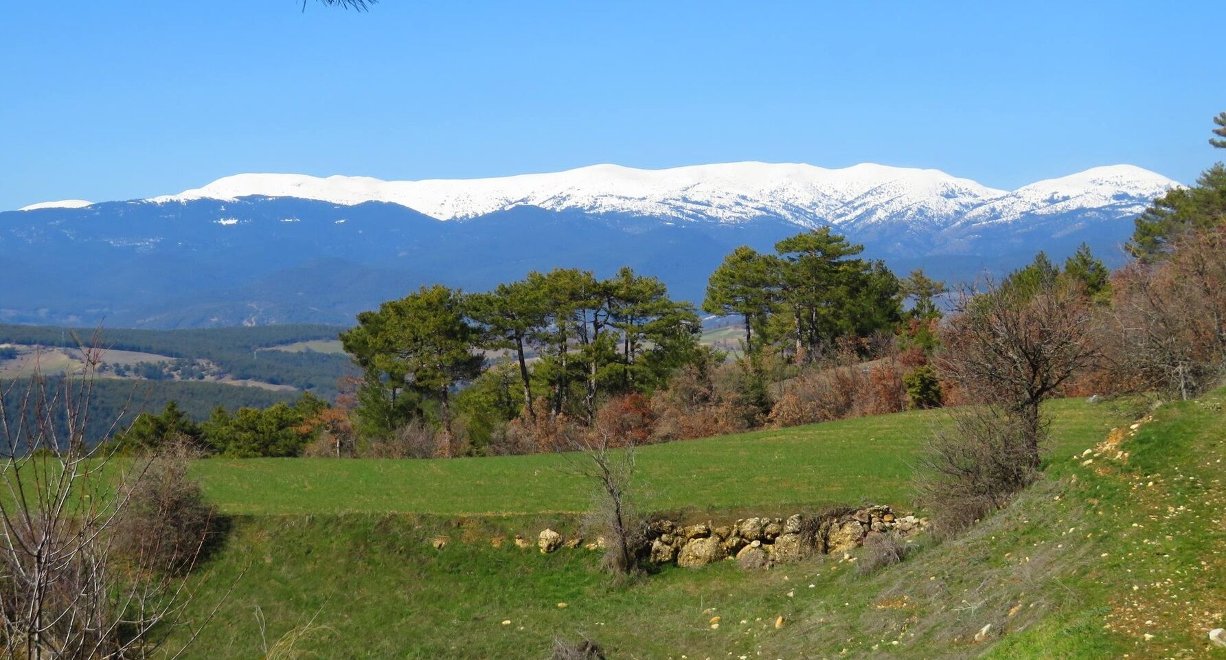 Banaz Hamamboğazı’nda Doğa Yürüyüşü Keyfi (3)