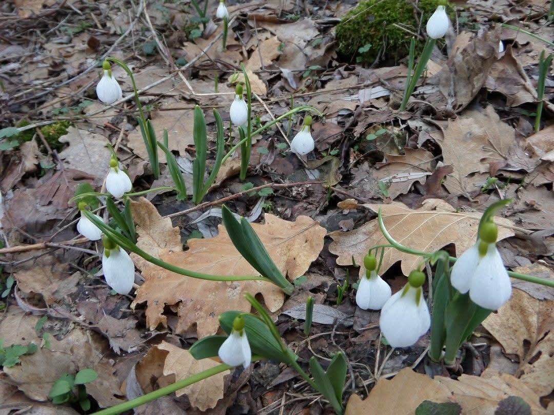 D8D110E1 F793 44B9 B9Bd 8Ae93A54A3B7