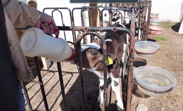 Ekran Alintisi 1773067759 818 X750