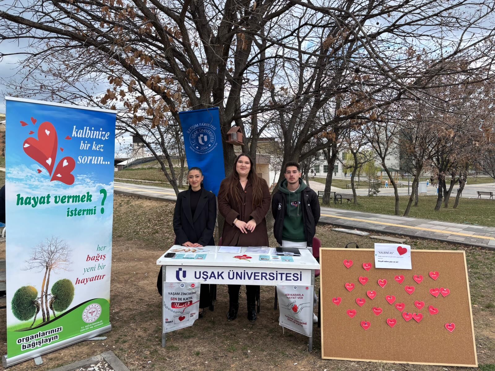 Organ Bağışı (2)