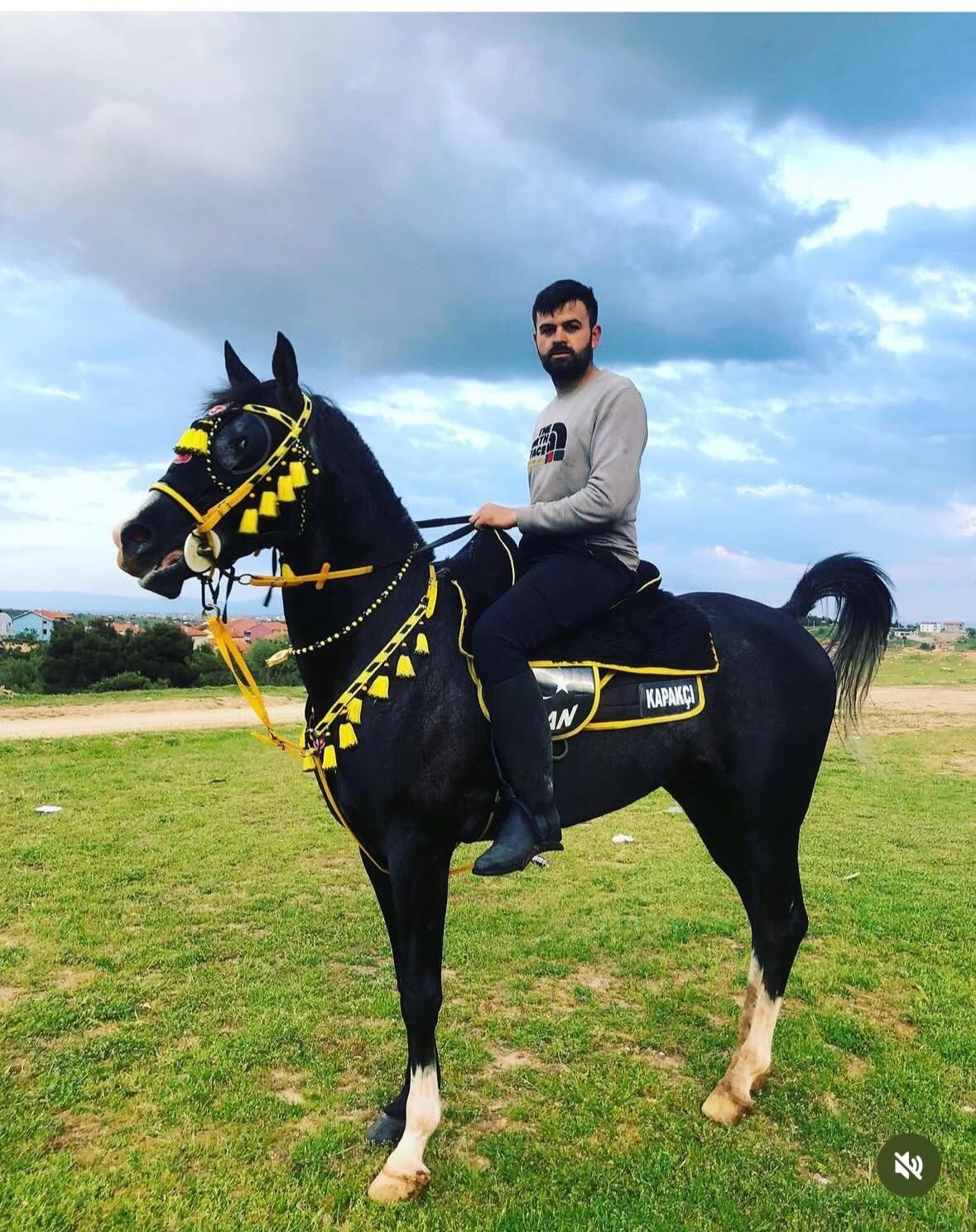 674533858 2506421903161560 2126365517853754728 N