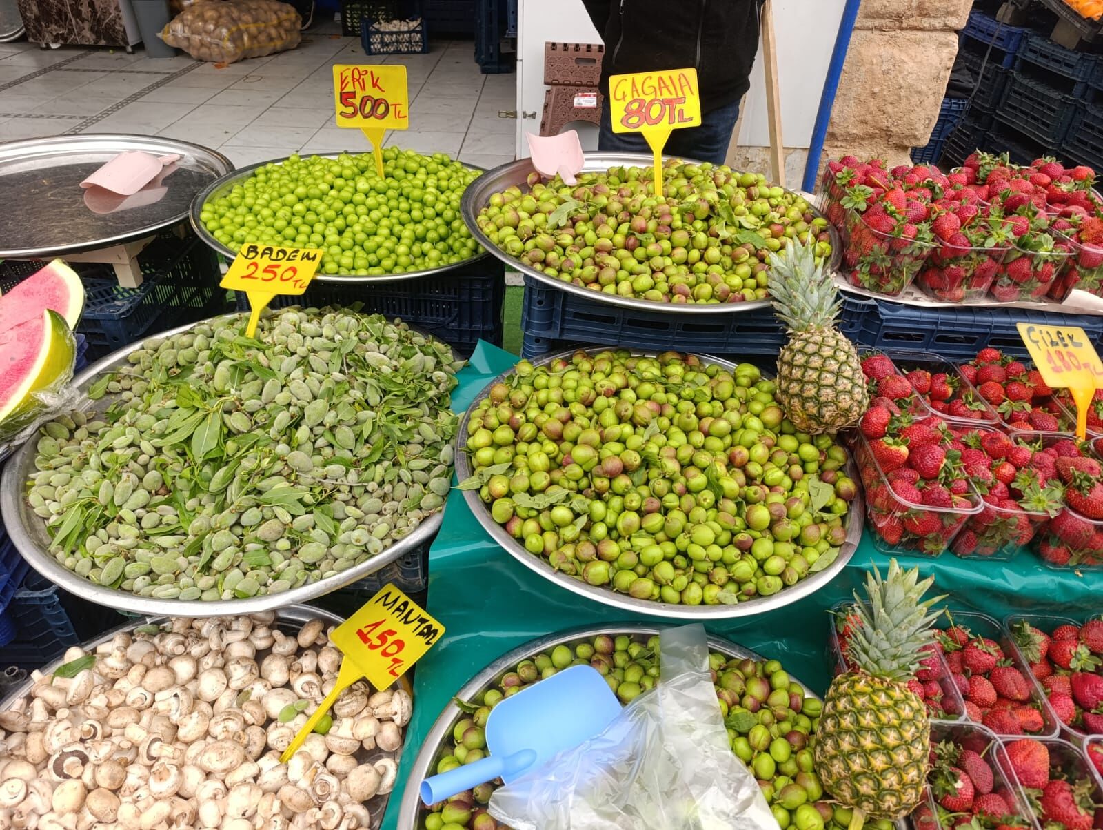 75Ad9281 91Ce 4328 9326 Fcf92C2692A5