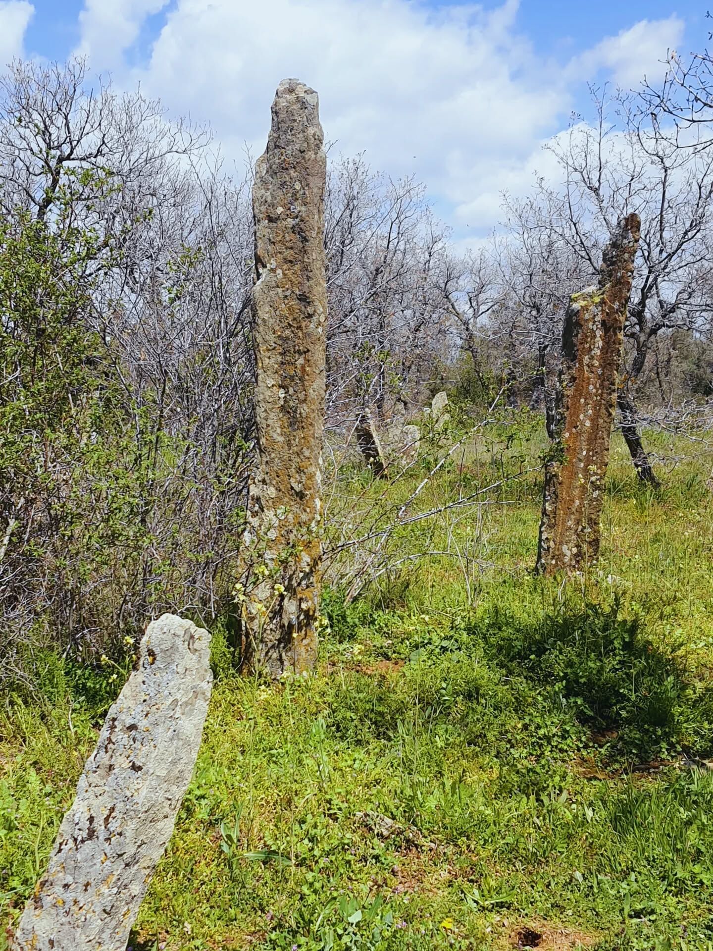 Alp Arslan Dur (3)-2