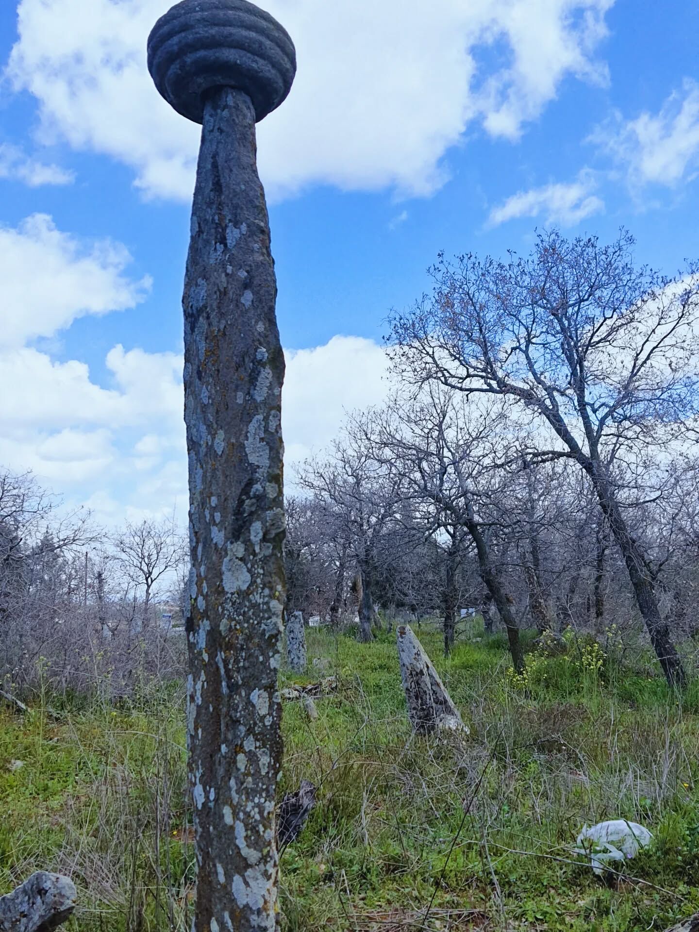 Alp Arslan Dur (4)-2