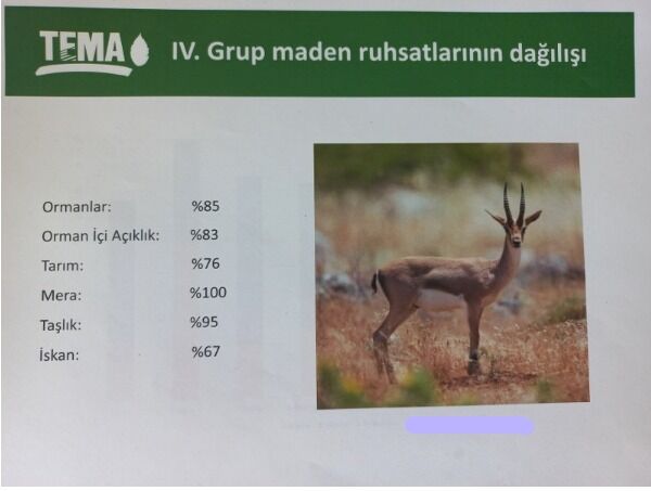 Funda Öz Akcura (2)