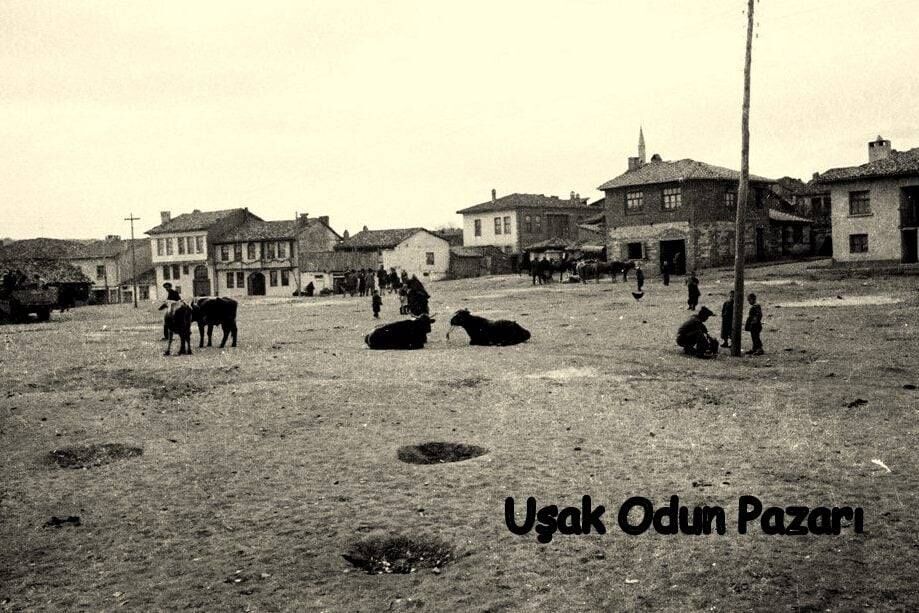 Odun Pazarı