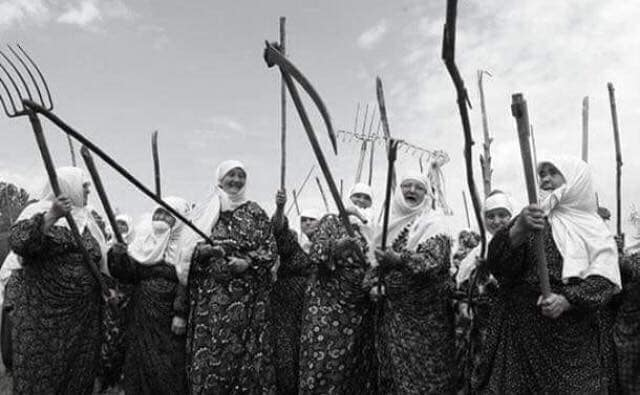 Tarak Yağması (1)-1