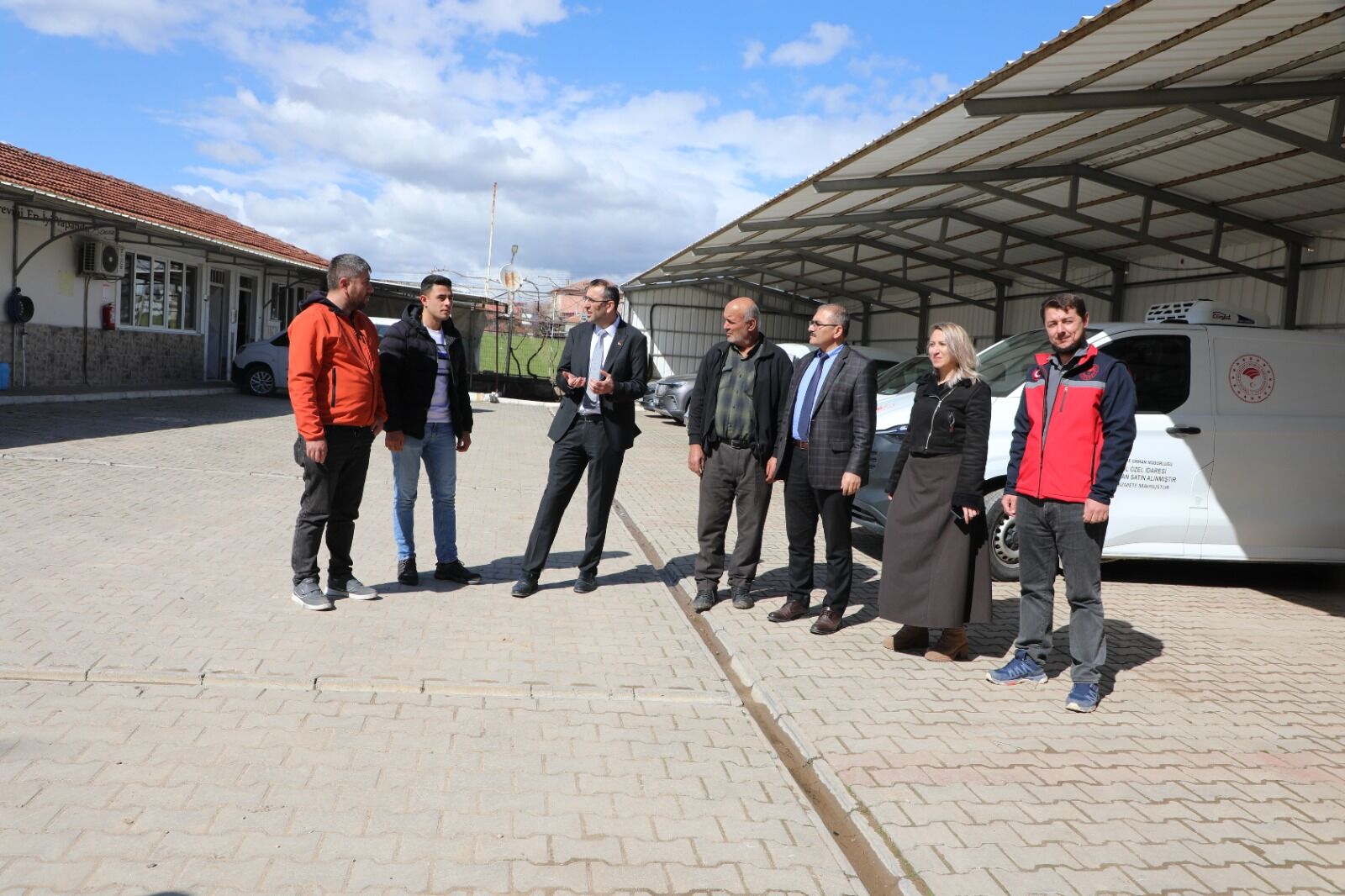 Tarım Ayçiçeği 2