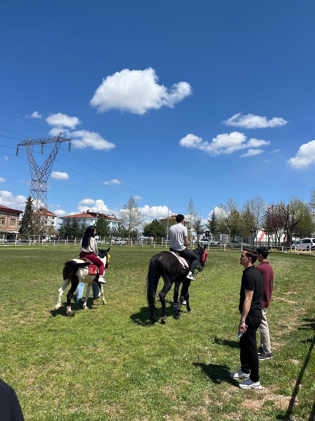 Üniversiteli Gençler Uşak Belediyesi At Çiftliği (1)