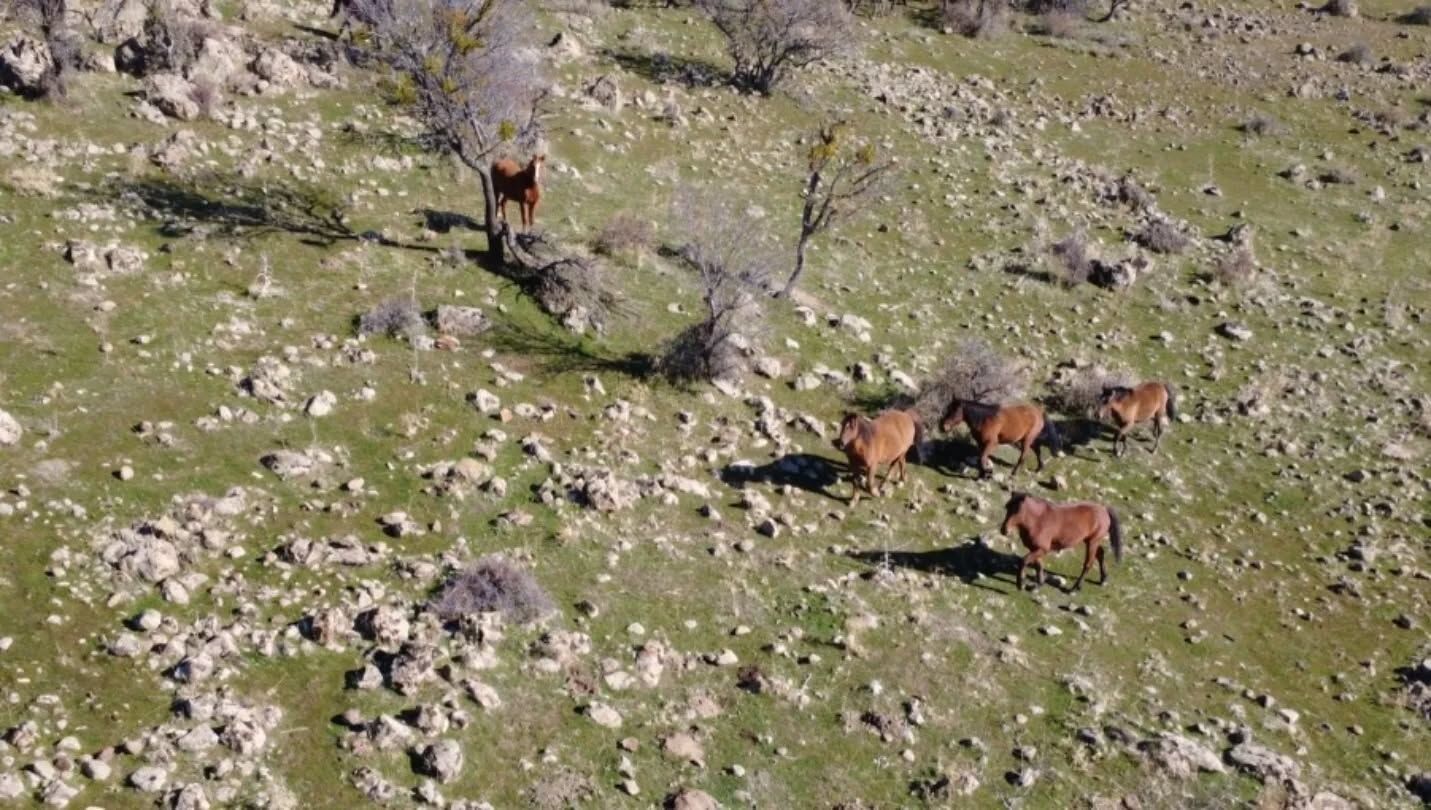 Alp Arslan Dur (4)-3