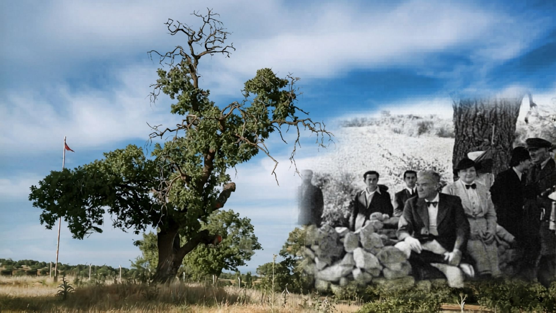 Anıt Ağaç Takmak