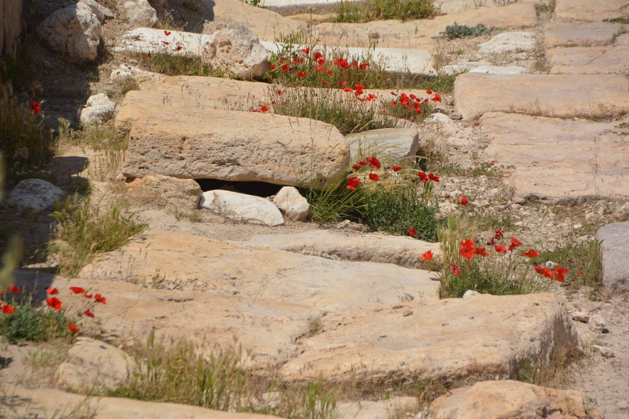 Balundos (4)