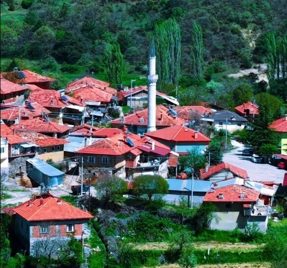 Belkaya1