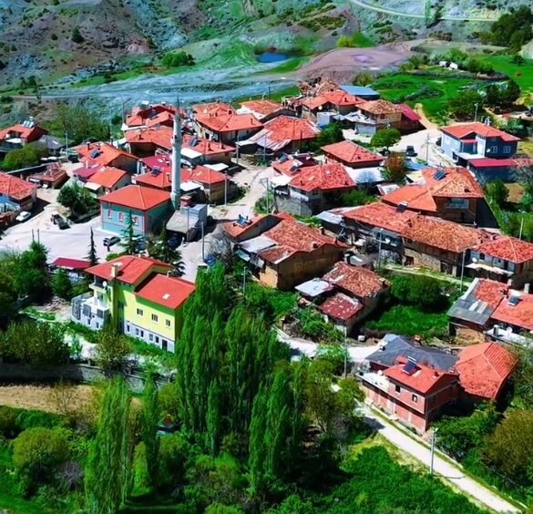 Belkaya2