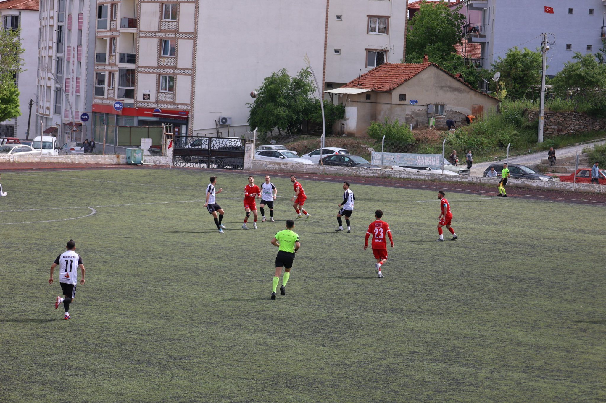 Eşme Asil (1)