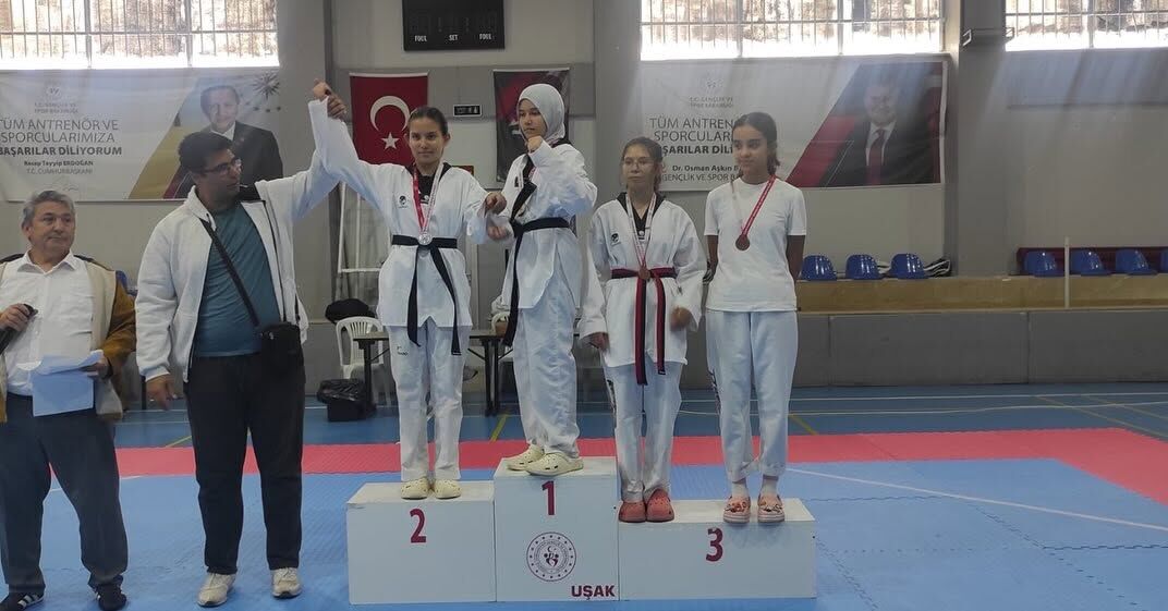 Analig Teakwondo