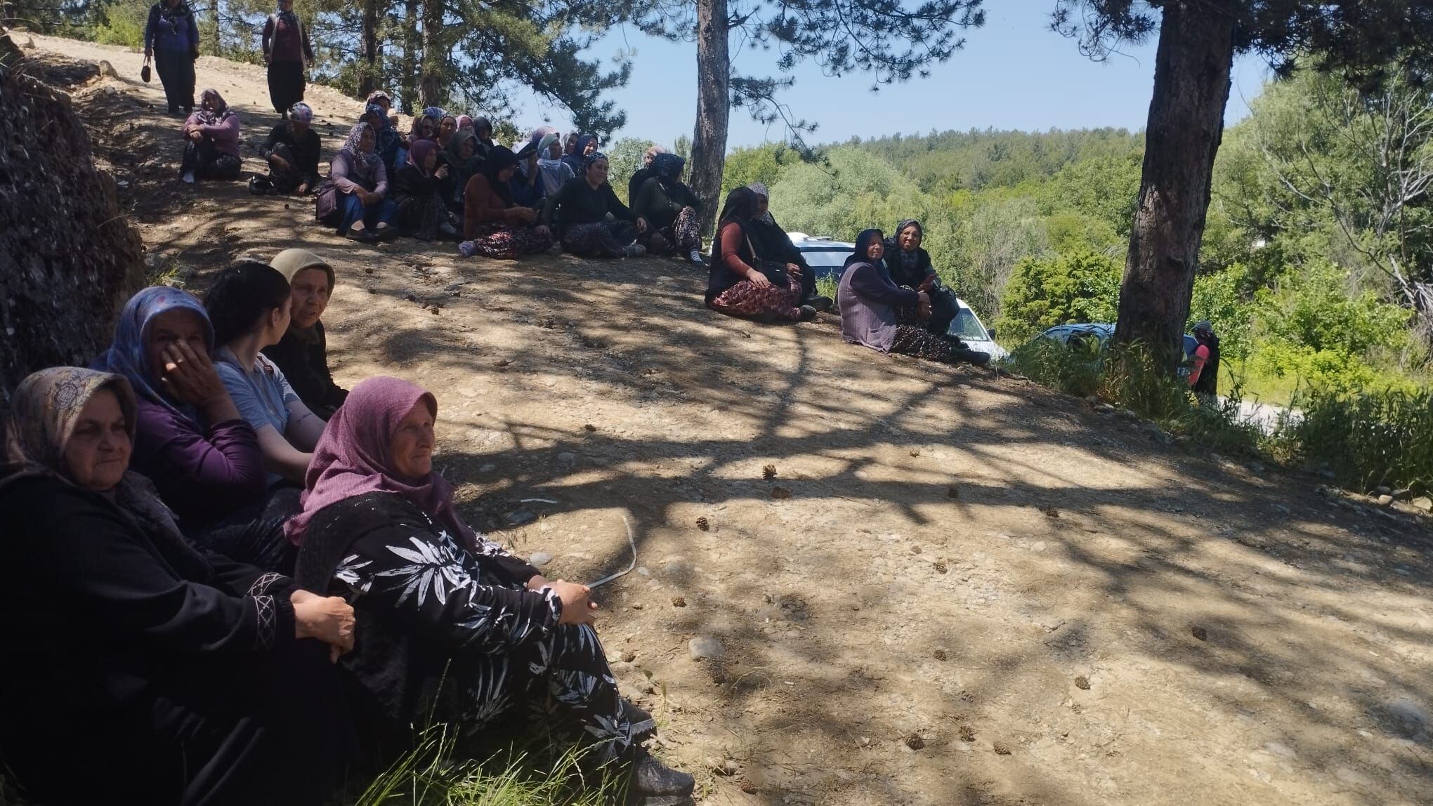 Dağdemirler (4)