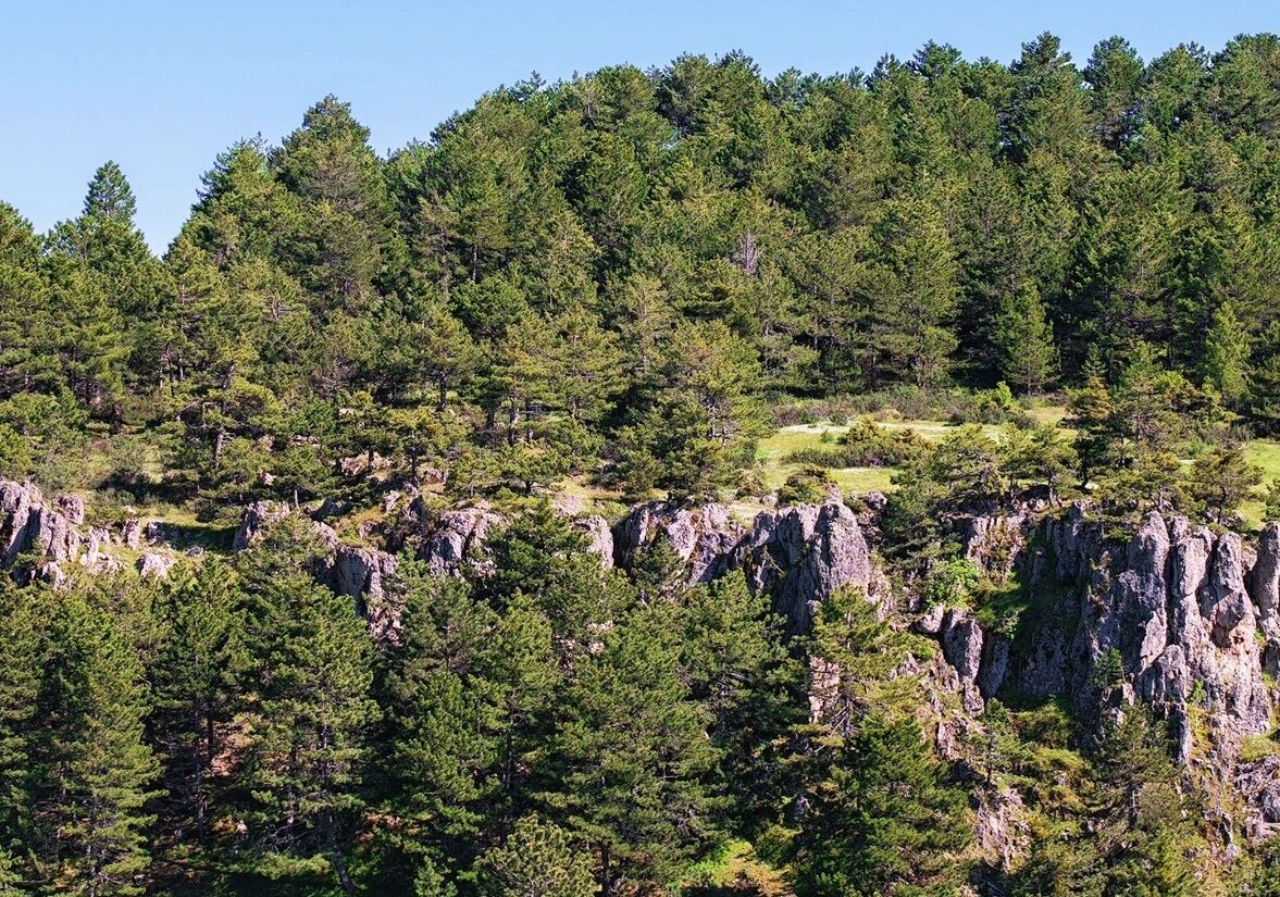 Dağdemirler (5)